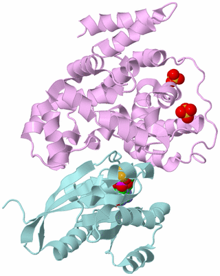 Image Biological Unit 3