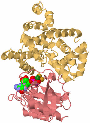 Image Biological Unit 4