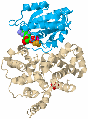 Image Biological Unit 5