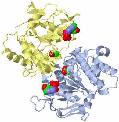 Image Biological Unit 1