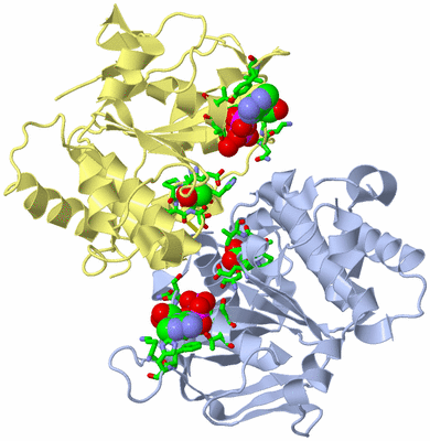 Image Biol. Unit 1 - sites