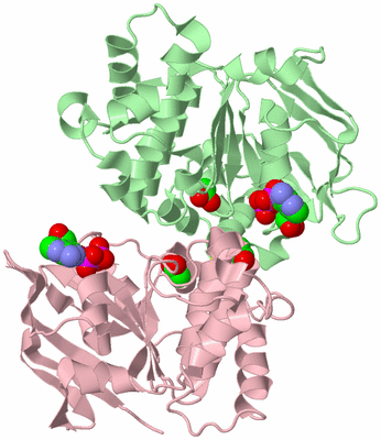 Image Biological Unit 2