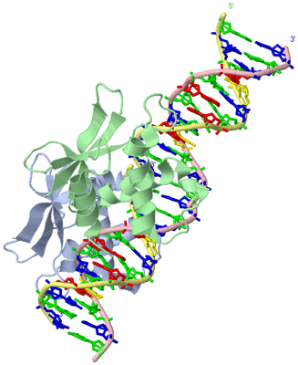 Image Biological Unit 1