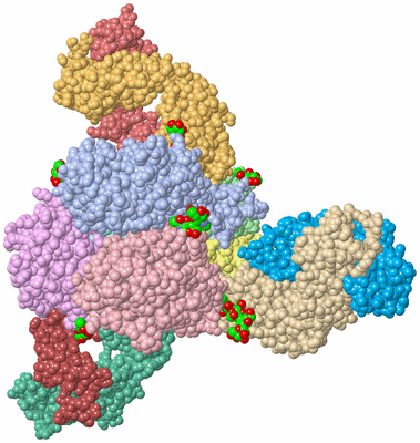 Image Asym./Biol. Unit