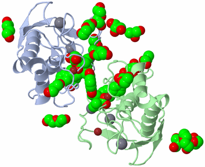 Image Asym./Biol. Unit