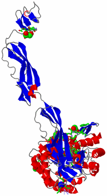 Image Asym. Unit - sites