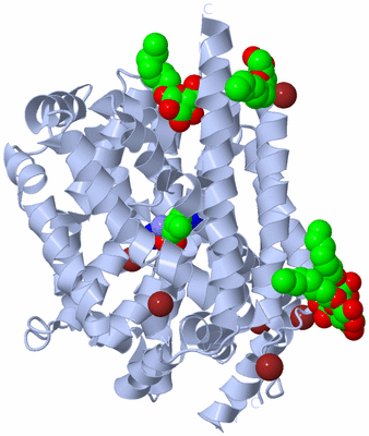 Image Biological Unit 1