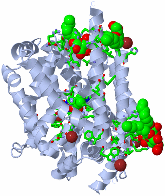 Image Biol. Unit 1 - sites