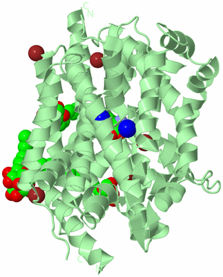 Image Biological Unit 2