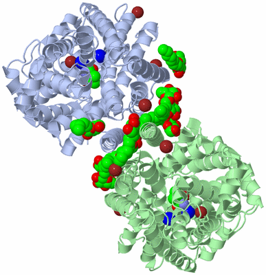 Image Biological Unit 3