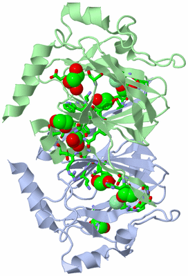 Image Biol. Unit 1 - sites