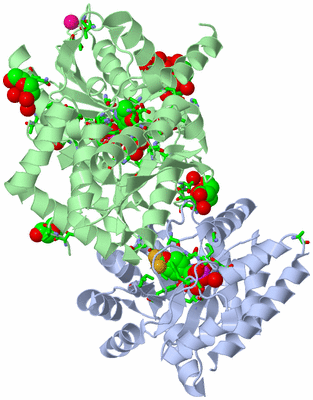 Image Biol. Unit 1 - sites