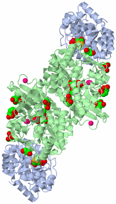 Image Biological Unit 2