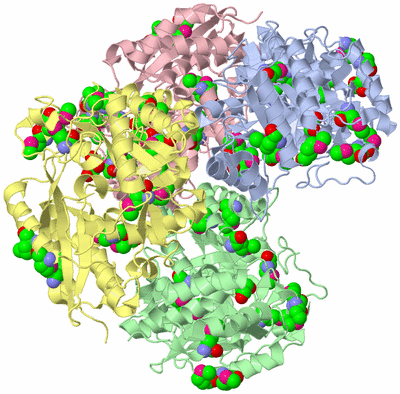 Image Biological Unit 1