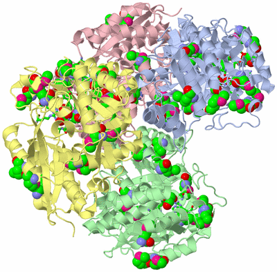 Image Biol. Unit 1 - sites