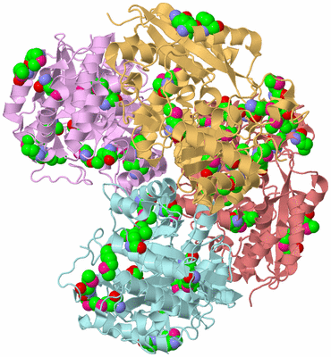 Image Biological Unit 2