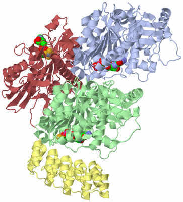 Image Asym./Biol. Unit