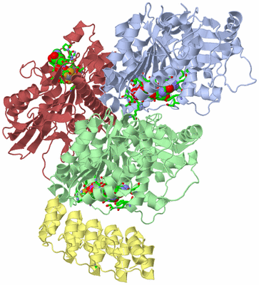 Image Asym./Biol. Unit - sites