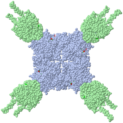 Image Biological Unit 1