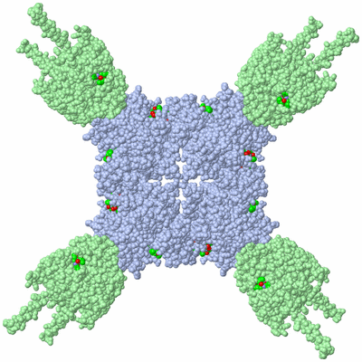 Image Biol. Unit 1 - sites