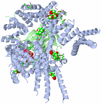 Image Asym./Biol. Unit - sites