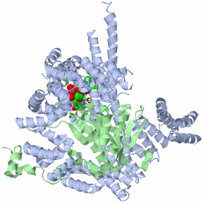 Image Asym./Biol. Unit - sites