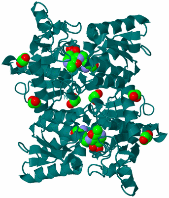 Image Biological Unit 1