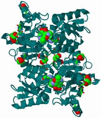 Image Biol. Unit 1 - sites