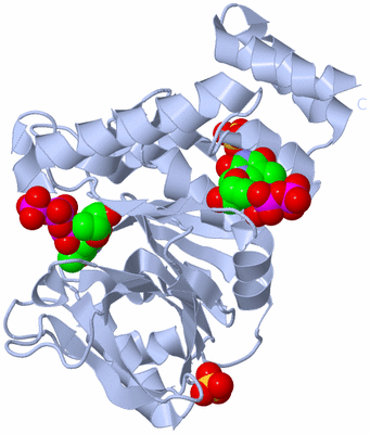 Image Biological Unit 1