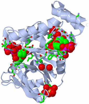 Image Biol. Unit 1 - sites