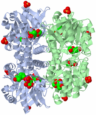 Image Biological Unit 3