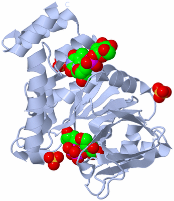 Image Biological Unit 1