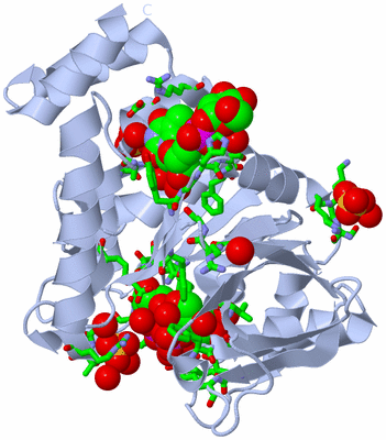 Image Biol. Unit 1 - sites