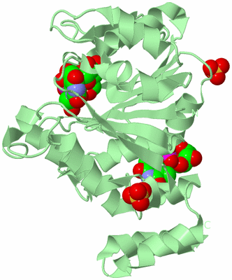 Image Biological Unit 2