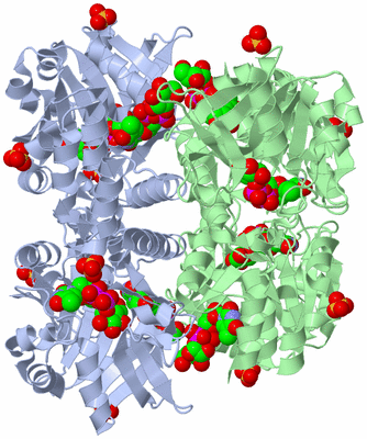 Image Biological Unit 3