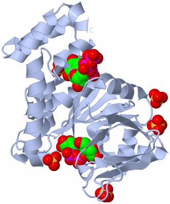 Image Biological Unit 1