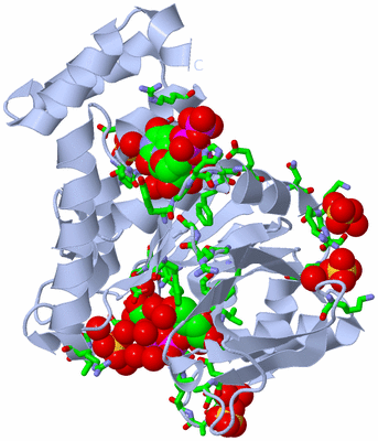 Image Biol. Unit 1 - sites