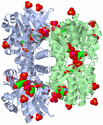 Image Biological Unit 3