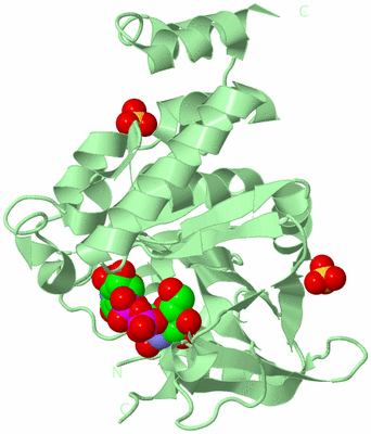 Image Biological Unit 2