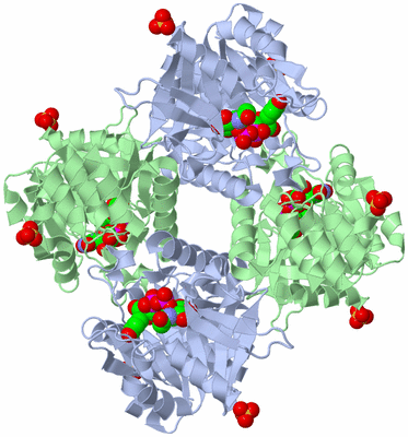 Image Biological Unit 3