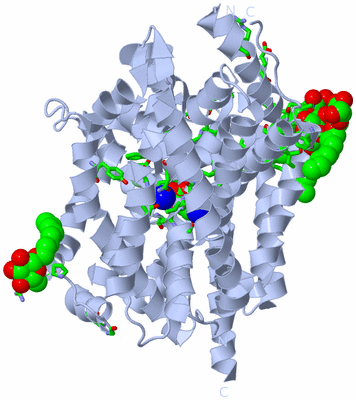 Image Biol. Unit 1 - sites