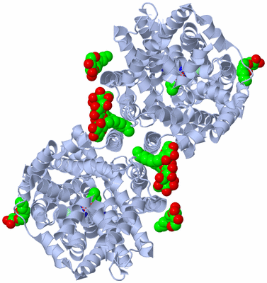 Image Biological Unit 2