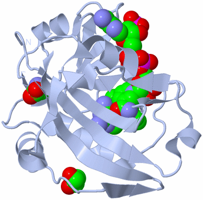 Image Biological Unit 1