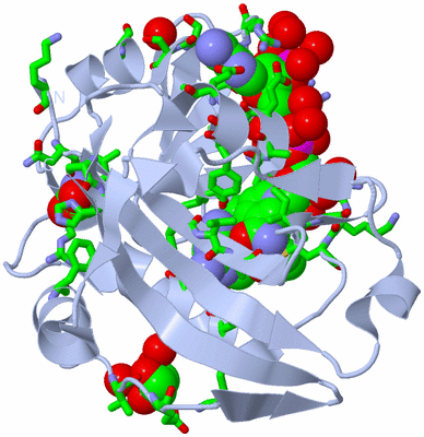 Image Biol. Unit 1 - sites