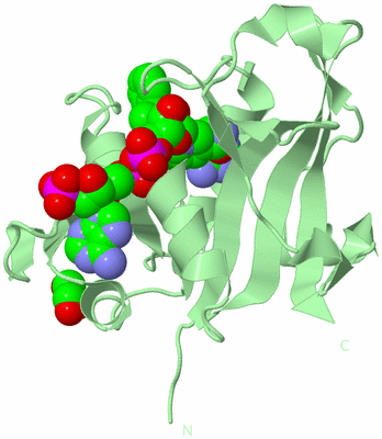 Image Biological Unit 2