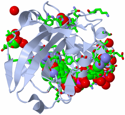 Image Biol. Unit 1 - sites