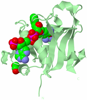 Image Biological Unit 2