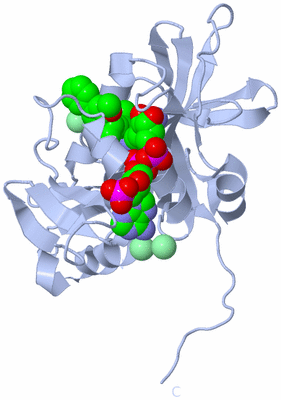 Image Biological Unit 1