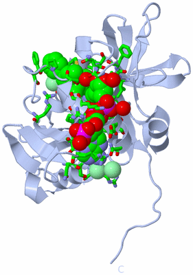 Image Biol. Unit 1 - sites