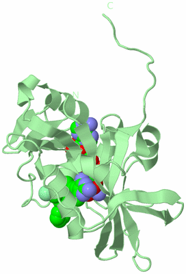 Image Biological Unit 2